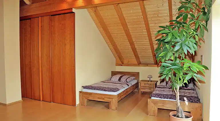 Holiday home in Neustraßburg