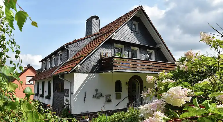 Apartment in Wildemann