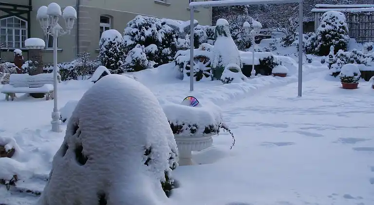 Apartment in Altenbrak