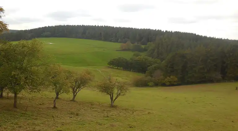 Sommerhus i Hönningen