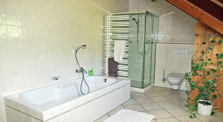 Holiday home in Neustraßburg