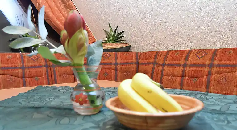 Holiday home in Rübeland