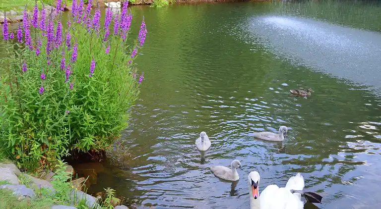 Apartment in Hüddingen