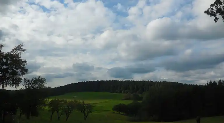 Sommerhus i Hönningen