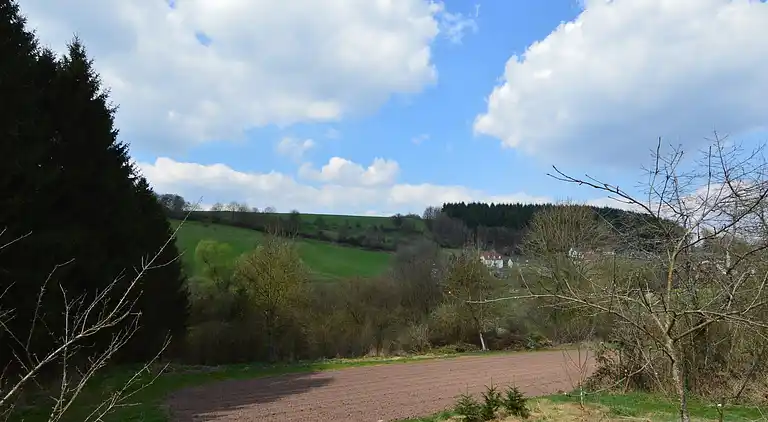 Holiday home in Neustraßburg