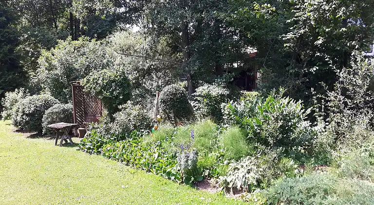 Ferielejlighed i Sellericherhöhe