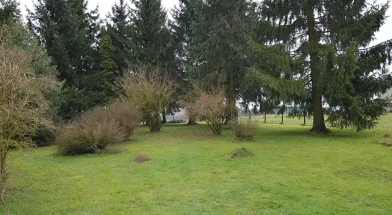 Sommerhus i Schnorrenberg