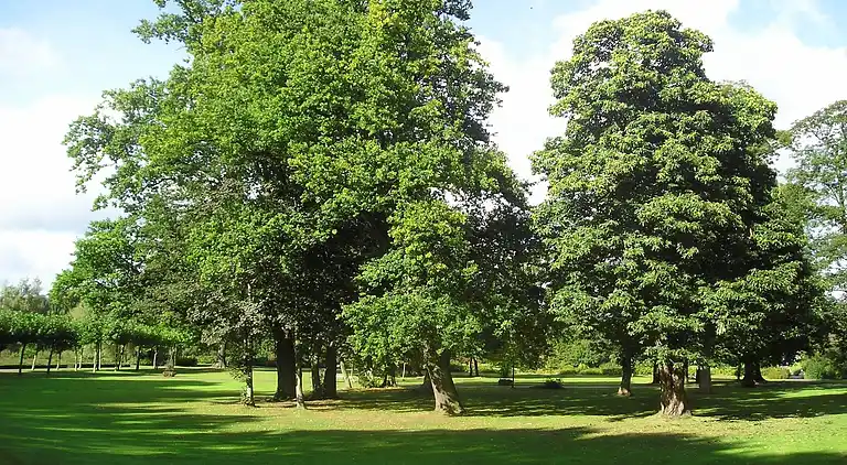 Villa in Ferienpark Gut Langen