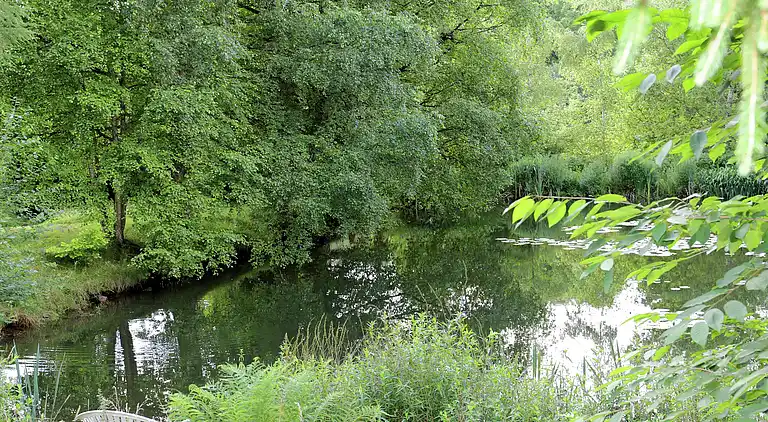 Holiday home in Neustraßburg