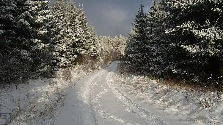 Ferielejlighed i Bleialf