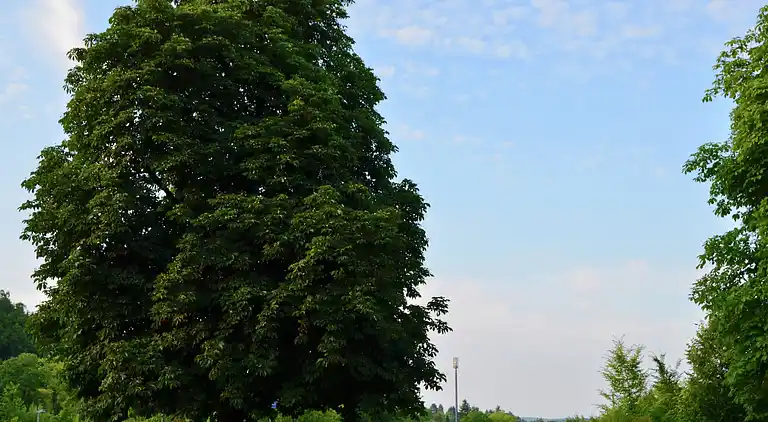 Ferielejlighed i Hüddingen