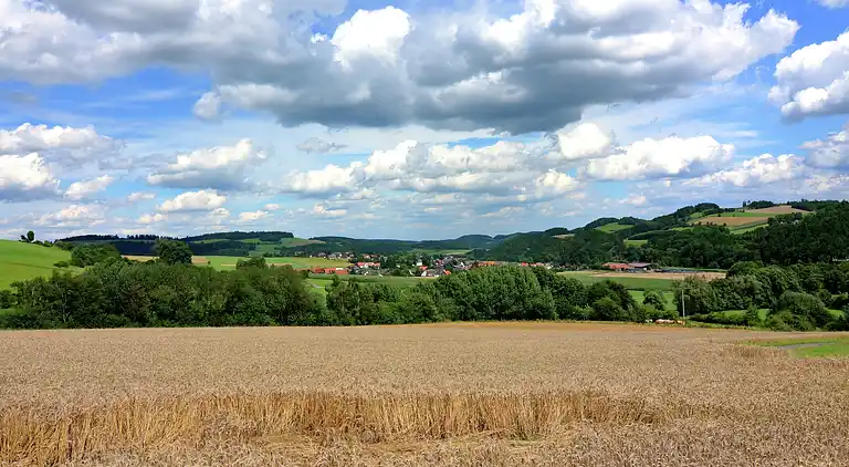 Apartment in Deifeld
