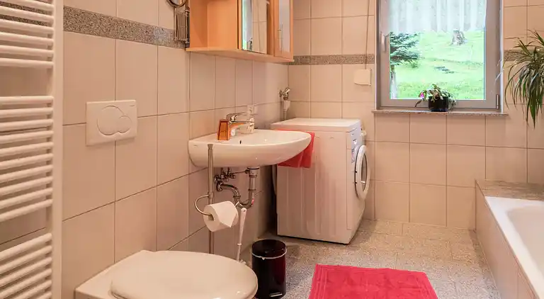 Gårdhus i Mühlenbach