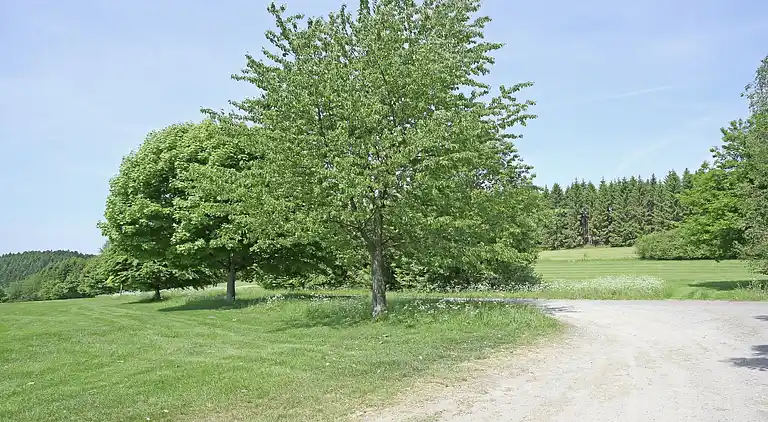 Ferielejlighed i Sellinghausen