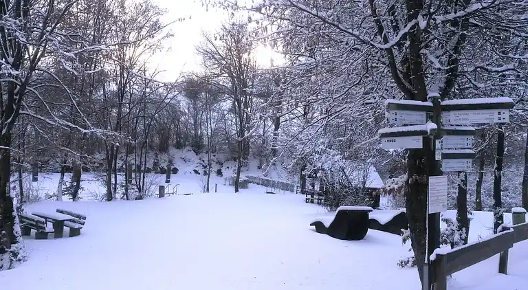 Apartment in Dreislar