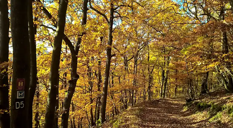 Holiday home in Europe