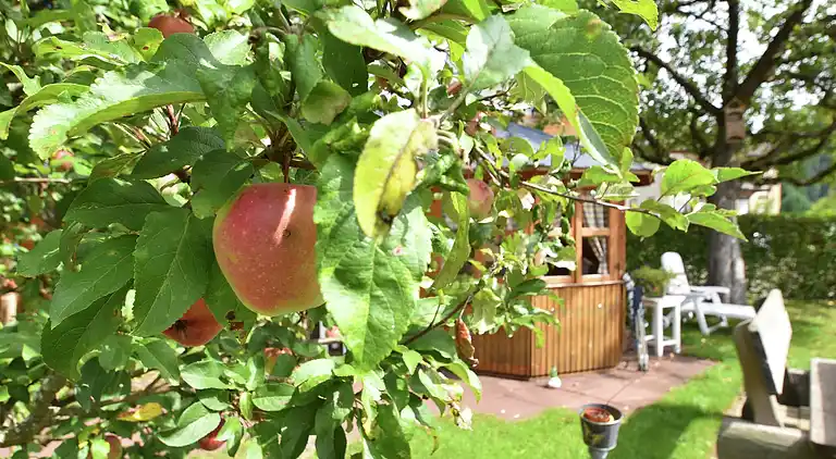 Apartment in Todtnau