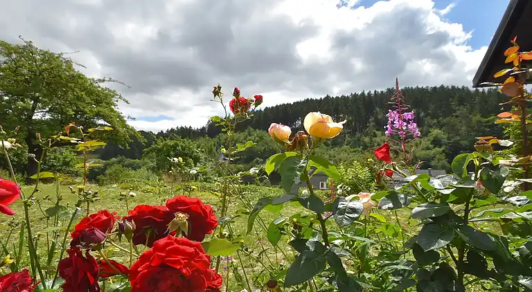 Holiday home in Sauerland