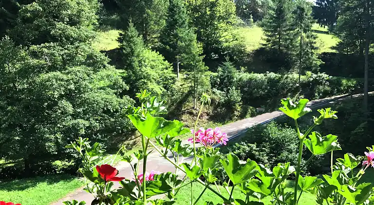 Apartment in Obertal