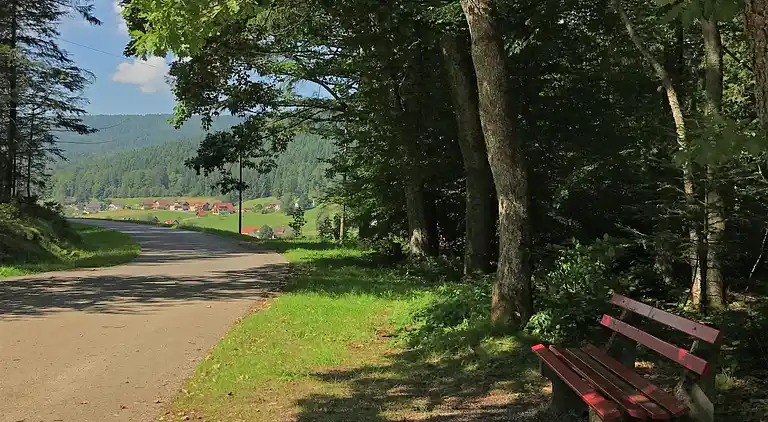 Ferielejlighed i Baiersbronn