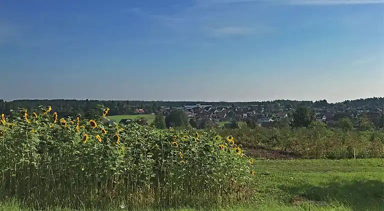 Ferielejlighed i Neuweiler