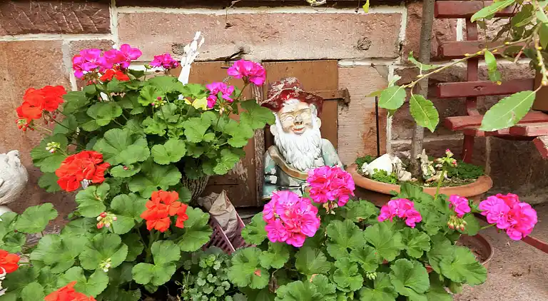 Apartment in Obertal