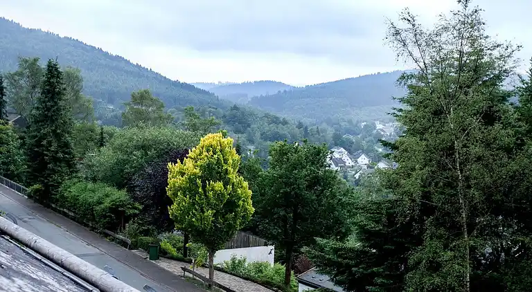 Ferielejlighed i Niedersfeld