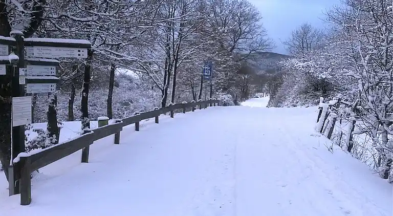 Apartment in Dreislar