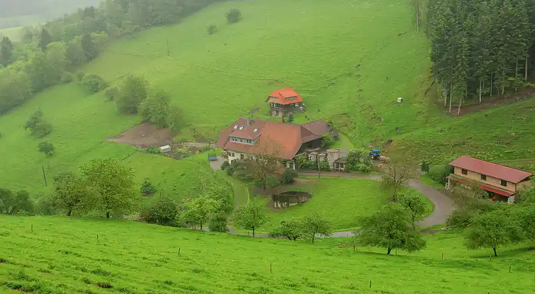 Gårdhus i Mühlenbach