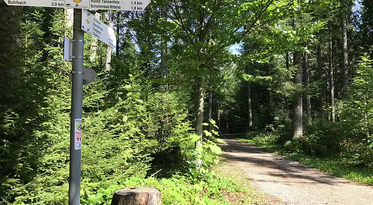 Ferielejlighed i Baiersbronn