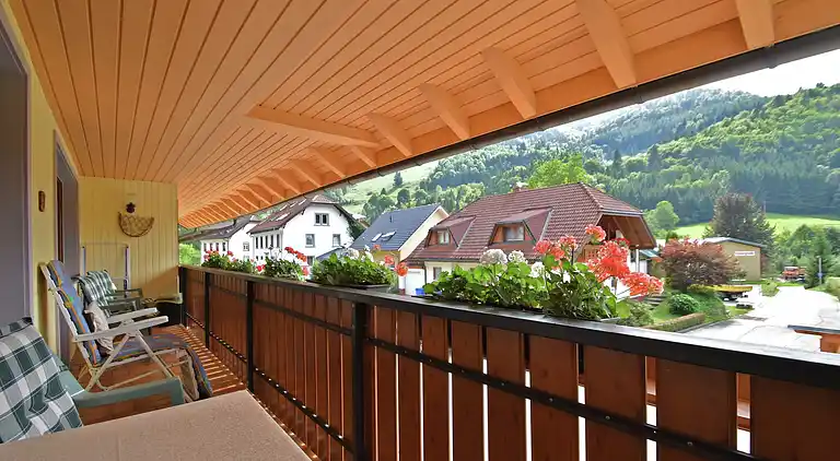 Apartment in Todtnau