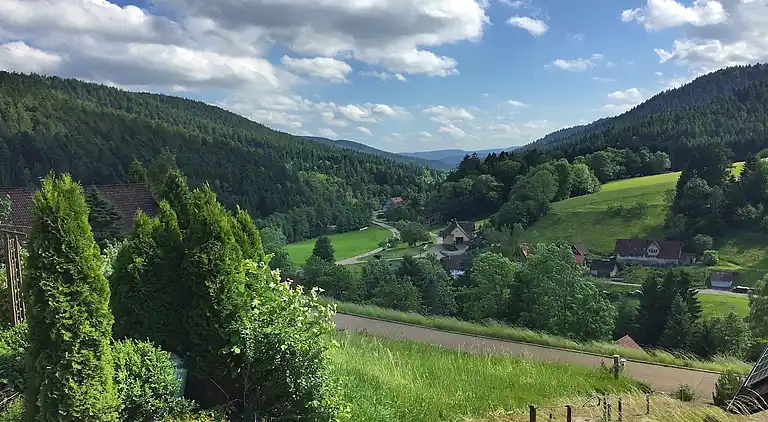 Sommerhus i Reinerzau