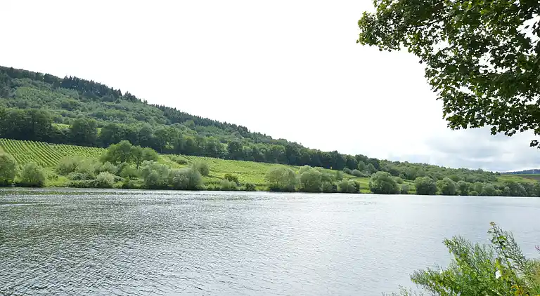 Ferielejlighed i Hammelswiese