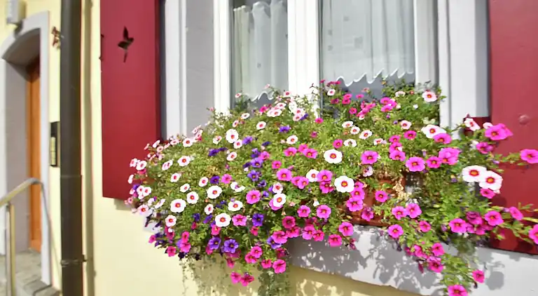 Apartment in Todtnau