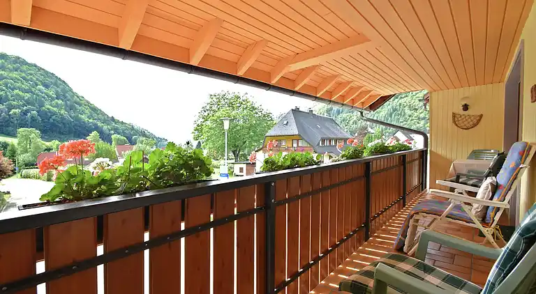 Apartment in Todtnau