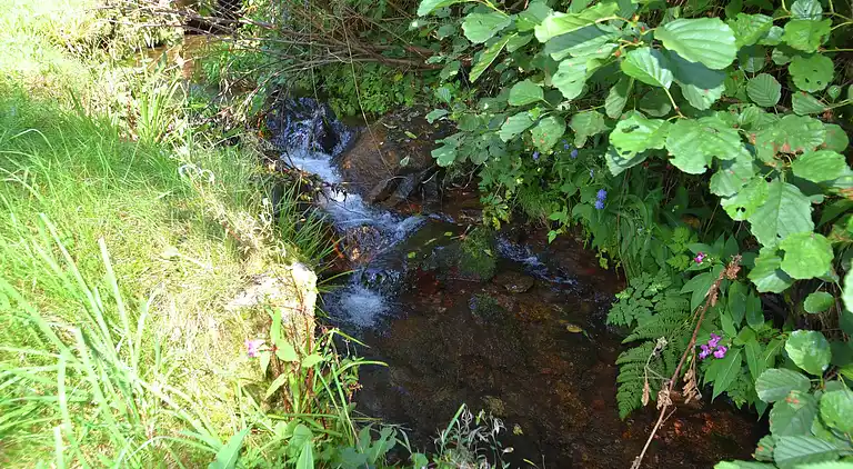 Apartment in Obertal