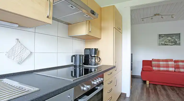 Ferielejlighed i Sellinghausen