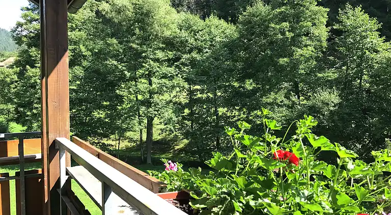 Apartment in Obertal