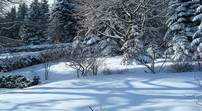 Sommerhus i Neuastenberg