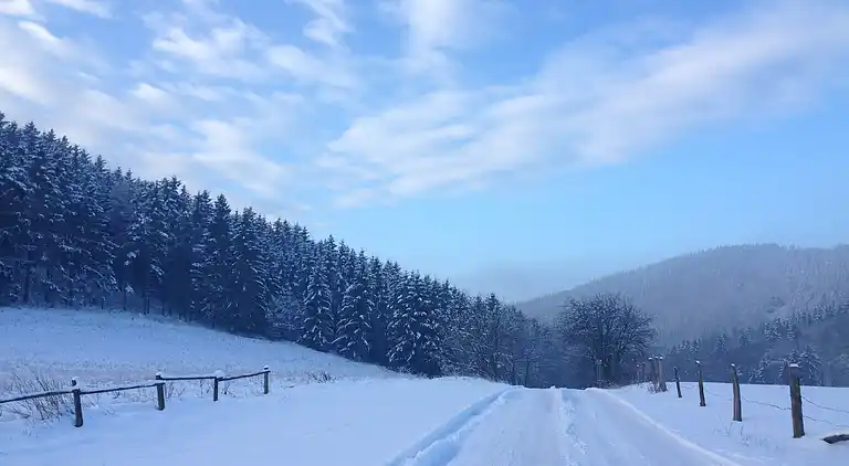Holiday home in Sauerland