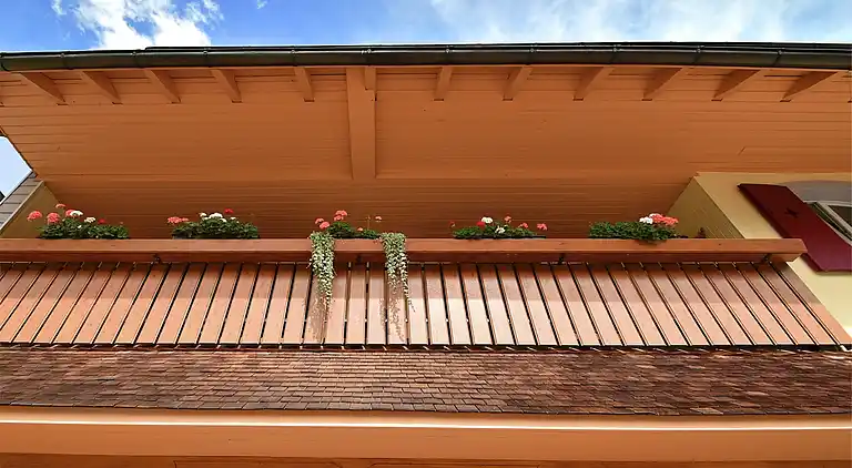 Apartment in Todtnau