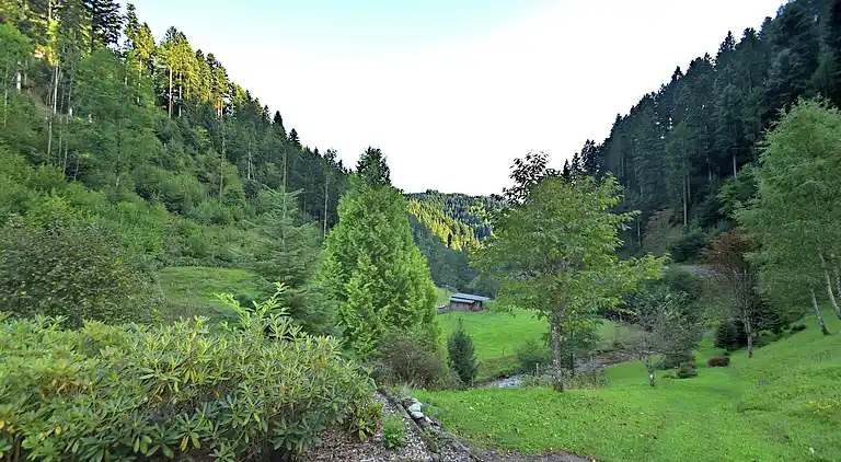 Apartment in Lierbach