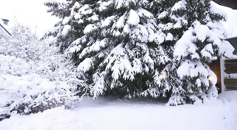 Ferielejlighed i Winterberg