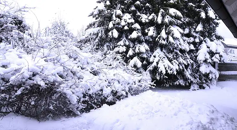Ferielejlighed i Winterberg