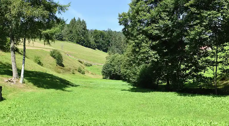 Apartment in Obertal
