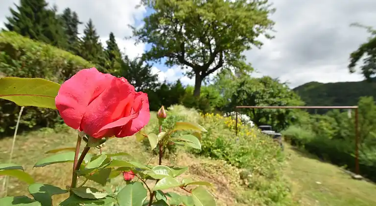 Holiday home in Sauerland