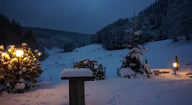 Holiday home in Züschen