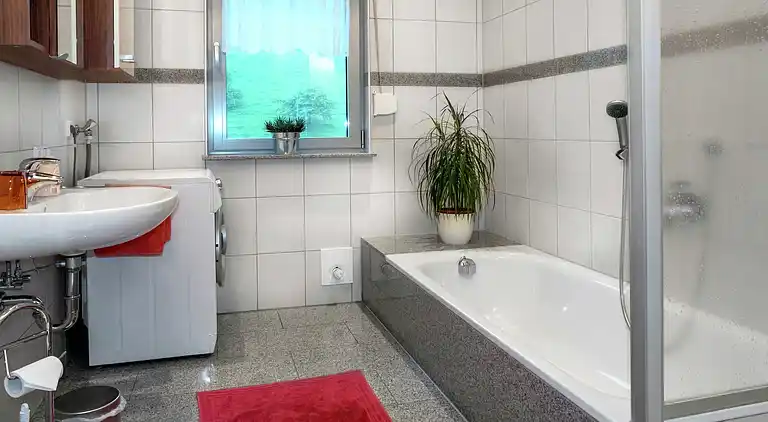 Gårdhus i Mühlenbach