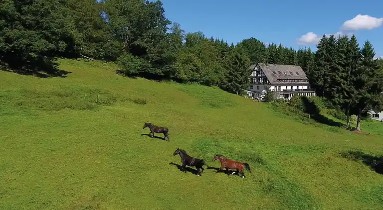 Holiday home in Züschen
