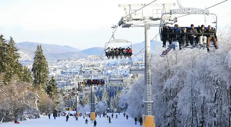 Ferielejlighed i Winterberg